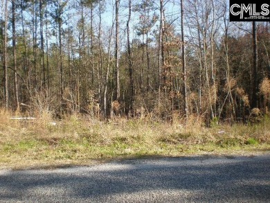 Lake Lot SOLD! in Ridgeway, South Carolina