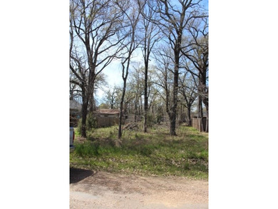 Lake Lot For Sale in Gun Barrel City, Texas
