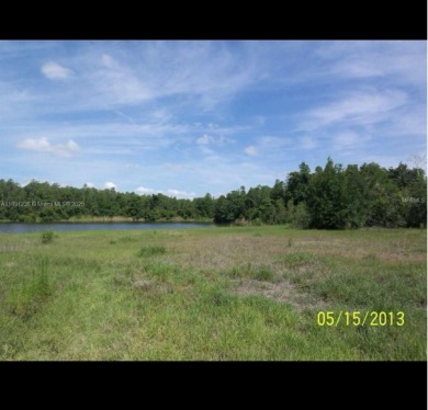 (private lake, pond, creek) Lot For Sale in Kissimmee Florida