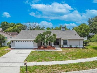 Lake Home Sale Pending in Oldsmar, Florida