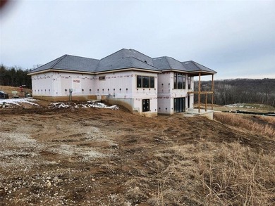 The Courtland Reverse by Don Julian Builders--July possession - photo 3