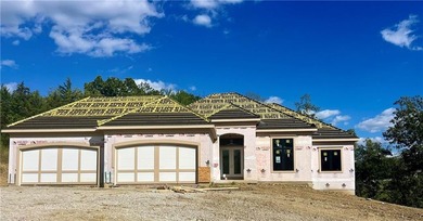 Brookridge !V Reverse by Don Julian Builders on walk-out lot and - photo 2
