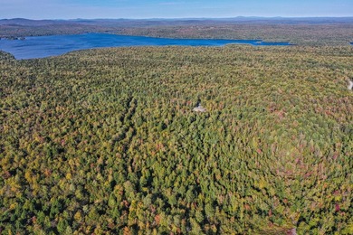 Tucked away on 14.94 private acres along Wedge Heights Road - photo 22