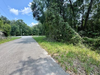 Lake Lot For Sale in Trenton, Florida