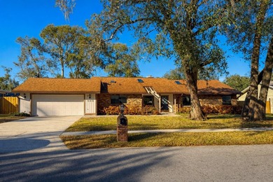 Lake Fairy Home For Sale in Longwood Florida