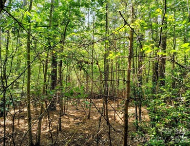 Beautiful 2.04-acre, wooded interior lot in the gated Harbor - photo 1