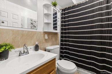 Welcome to this well-maintained three-family home in the Bronx - photo 15