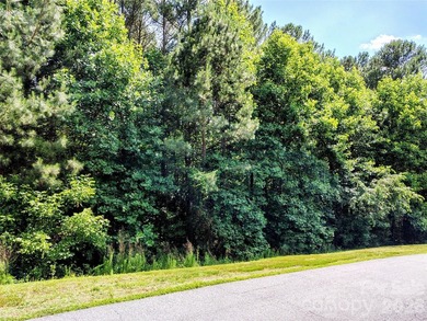Beautiful 2.04-acre, wooded interior lot in the gated Harbor - photo 6