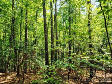 Beautiful 2.04-acre, wooded interior lot in the gated Harbor - photo 7