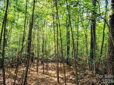 Beautiful 2.04-acre, wooded interior lot in the gated Harbor - photo 8