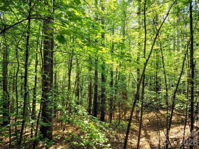 Beautiful 2.04-acre, wooded interior lot in the gated Harbor - photo 9