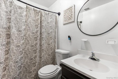 Welcome to this well-maintained three-family home in the Bronx - photo 19