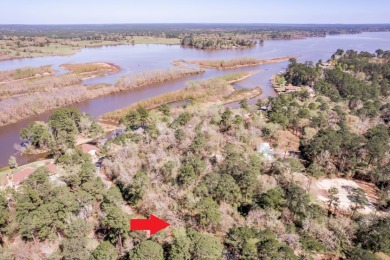 Lake Lot For Sale in Trinity, Texas