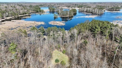 Lake Lot Sale Pending in Hayward, Wisconsin