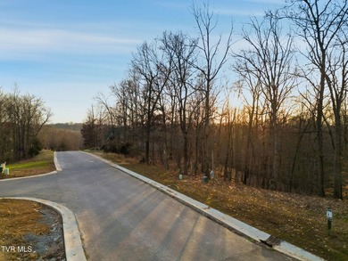 Don't miss your chance to own the largest lot on the street in - photo 2