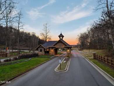 Don't miss your chance to own the largest lot on the street in - photo 4