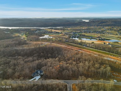 Don't miss your chance to own the largest lot on the street in - photo 10