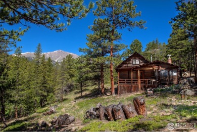 (private lake, pond, creek) Home For Sale in Allenspark Colorado