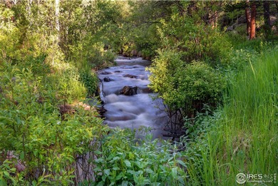 Rocky Mountain High! The exact vision mountain lovers have in - photo 2