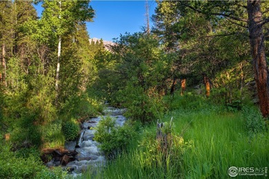 Rocky Mountain High! The exact vision mountain lovers have in - photo 5