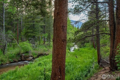Rocky Mountain High! The exact vision mountain lovers have in - photo 6
