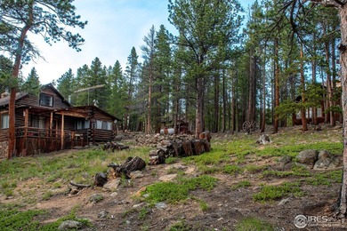 Rocky Mountain High! The exact vision mountain lovers have in - photo 7