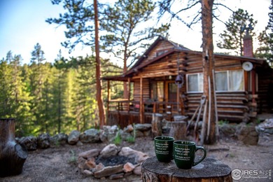 Rocky Mountain High! The exact vision mountain lovers have in - photo 8