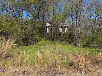 Discover the potential of this water view property on Lighthouse - photo 3