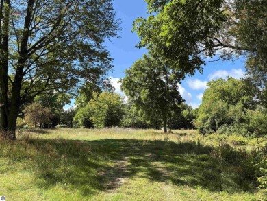 Lake Cadillac Lot For Sale in Cadillac Michigan