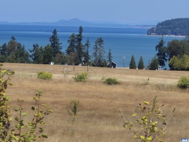 Lake Acreage For Sale in Sequim, Washington
