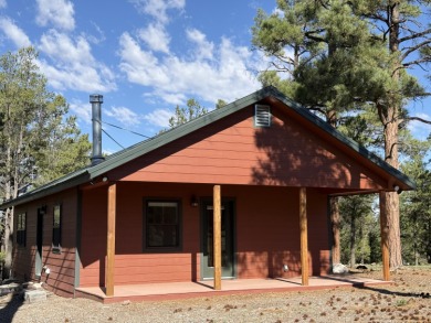 Quemado Lake Home For Sale in Quemado New Mexico