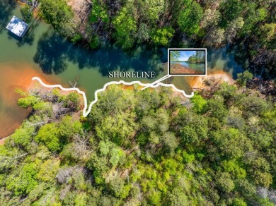 Lake Acreage For Sale in Martin, South Carolina