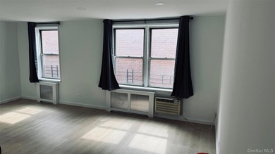 Spacious, Sun-Drenched Renovated Jr 4 in the Heart of Flushing - photo 3