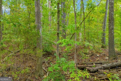 Lake Hartwell Lot For Sale in Lavonia Georgia