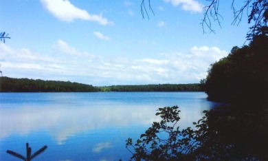 Tamarack Lake - Gogebic  County Lot For Sale in Watersmeet Michigan