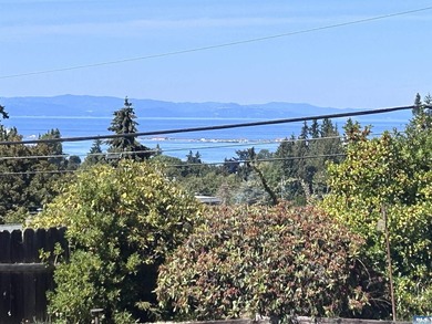Prime Double City Lot-Bring Your Vision! Near the Peninsula Golf - photo 4