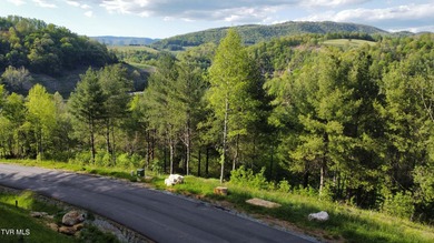 Watauga Lake Lot For Sale in Butler Tennessee