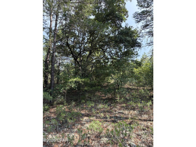 Blue Homestead Lake  Lot For Sale in Chipley Florida