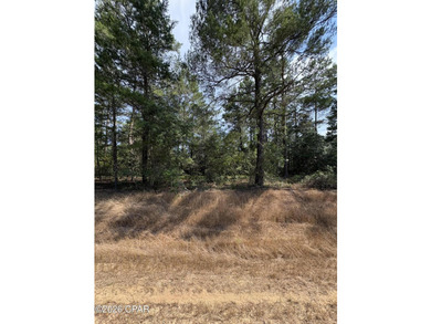 Blue Homestead Lake  Lot For Sale in Chipley Florida