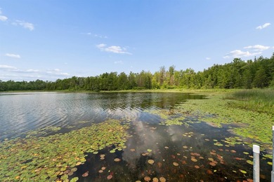 Escape to your own private Northwoods retreat where breathtaking - photo 43