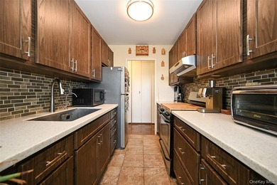 Spacious 2 Bedroom, 2 Bathroom Co-op in Luxury 24-Hour Doorman - photo 10