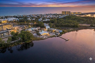 Powell Lake / Phillips Inlet Townhome/Townhouse For Sale in Panama City Beach Florida