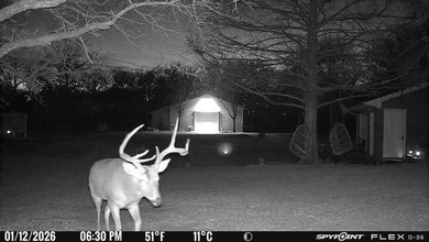 22 acres of pure Texas, and it's hiding in plain sight. Tucked - photo 11