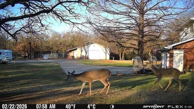 22 acres of pure Texas, and it's hiding in plain sight. Tucked - photo 13