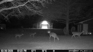 22 acres of pure Texas, and it's hiding in plain sight. Tucked - photo 14