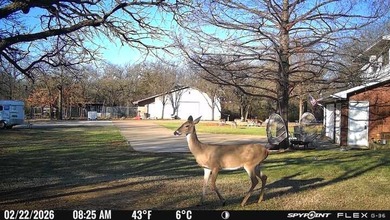 22 acres of pure Texas, and it's hiding in plain sight. Tucked - photo 15