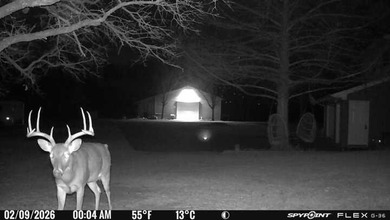 22 acres of pure Texas, and it's hiding in plain sight. Tucked - photo 16