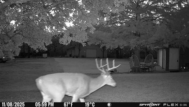22 acres of pure Texas, and it's hiding in plain sight. Tucked - photo 17