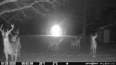 22 acres of pure Texas, and it's hiding in plain sight. Tucked - photo 18