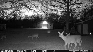 22 acres of pure Texas, and it's hiding in plain sight. Tucked - photo 19